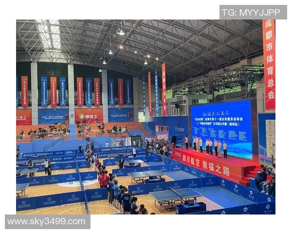 乒乓球的转型之路：探秘西安乒乓球队的创新与发展