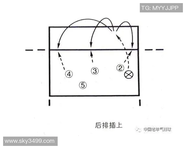广州排球队引领潮流最新排球战术TOP10全面解析