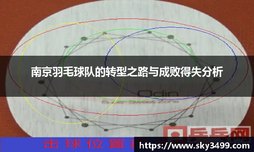 南京羽毛球队的转型之路与成败得失分析